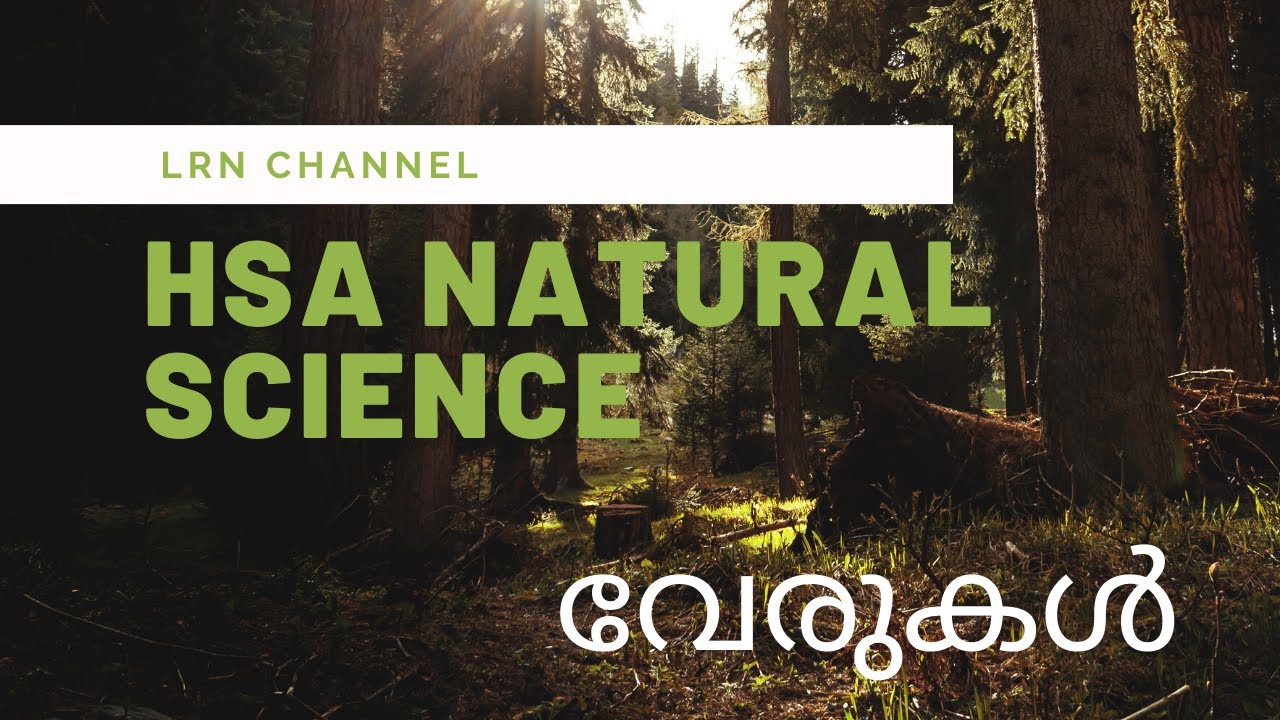 HSA NATURAL SCIENCE SYLLABUS WISE TOPICS: root, വേരുകൾ
