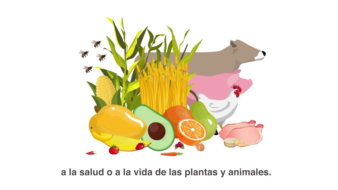 Sanidad e inocuidad en la producci&oacute;n de los alimentos