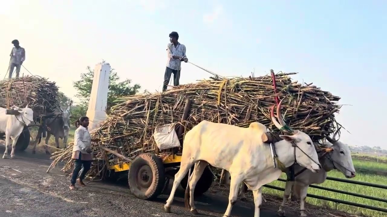 भर रसत्यावर गाडी आडकली धन्यवाद त्या डॉवर आनाचा त्यानी हात केला की ऊभा राहीले टायर फूटल दुसर्या गाडीव