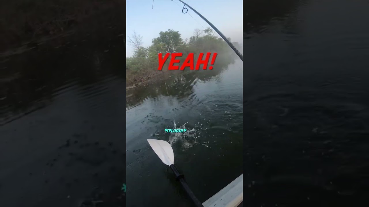 🎣 The Revolver