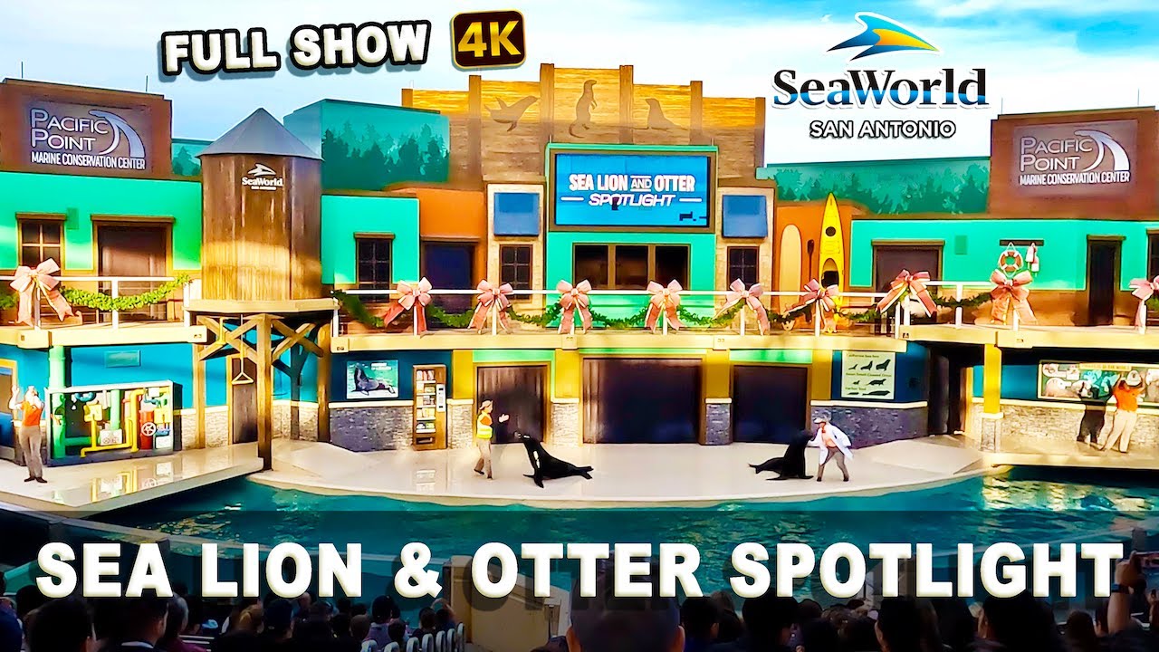 Sea Lion & Otter Spotlight | SeaWorld San Antonio | FULL SHOW 4K Ultra HD