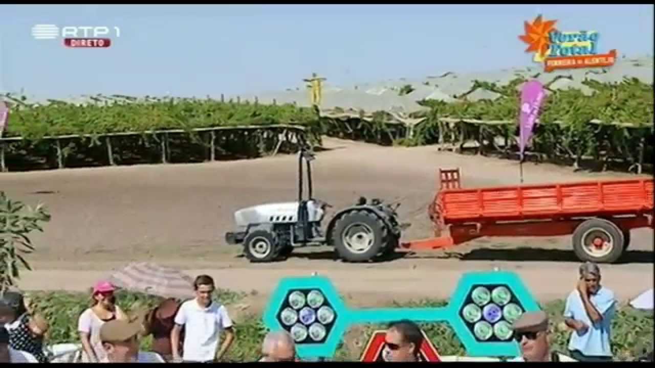 Joguei Papelinho Ao Ar - Ventos Alentejanos