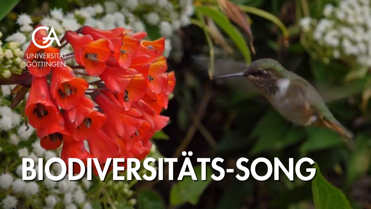 Biodiversit&auml;t | Ein Song auf unsere Welt