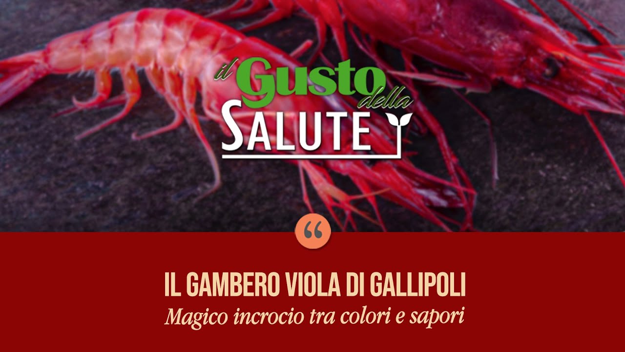 Il Gusto della Salute: il Gambero Viola di Gallipoli