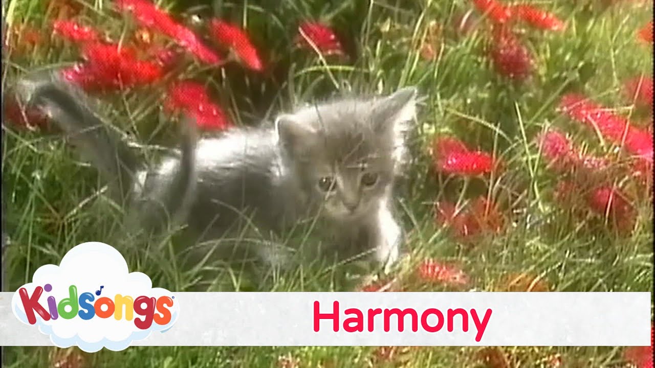 Kidsongs - Harmony