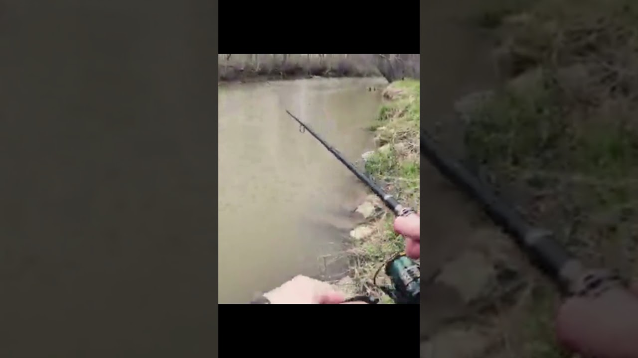 Catch the big ones! Compact telescoping rod and reel for traveling.🎣🐟