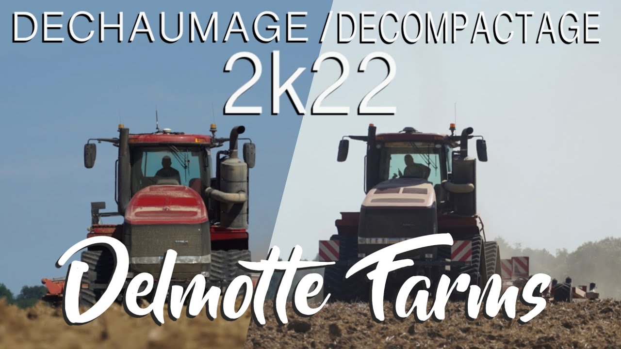 2x Case IH Quadtrac 620 au déchaumage et décompactage !!! | Horsch/G&B Heliflex