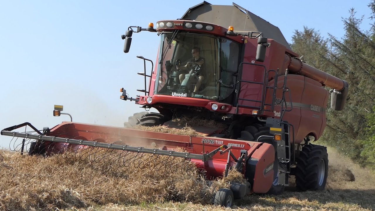 Case 9010 Axial-Flow harvesting Pees w/ Case 3016 Pick-Up Header | Harvest 2020 | DK Agriculture