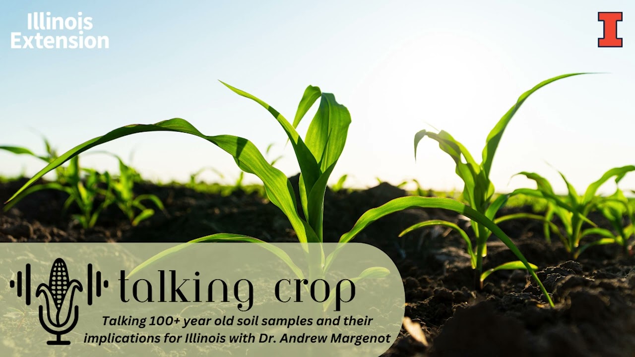 Talking 100+ yo soil samples & their implications for Illinois w/ Dr. Andrew Margenot | Talking Crop