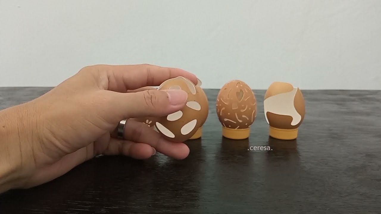 Kulit Cangkang Telur, Burung Madu