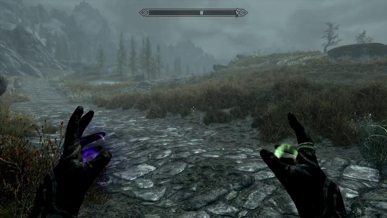 Skyrim