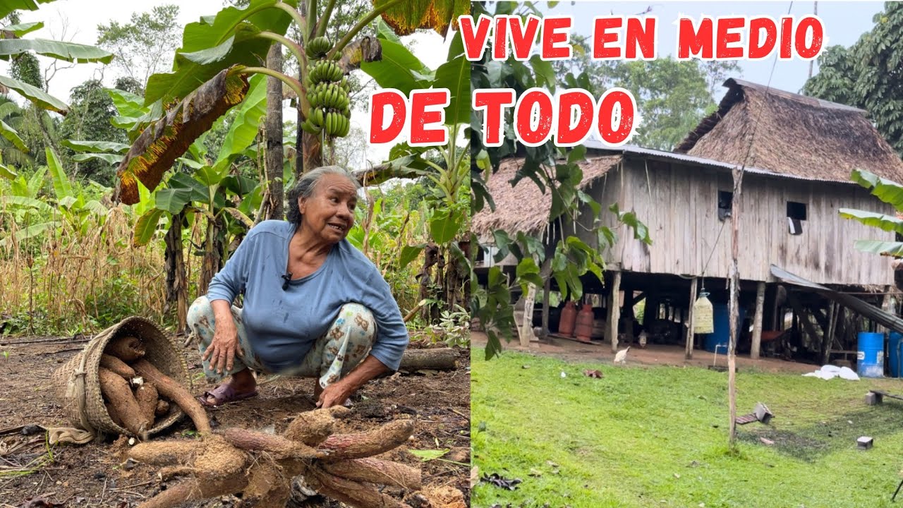 Viven en MEDIO DE LA SELVA en su casita de MADERA y son MUY FELICES 🛖🌳Josué y Elie