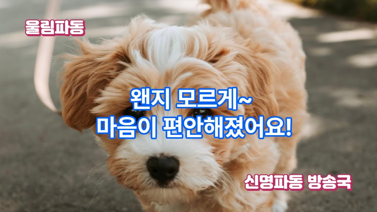 흐르는 대로 몸을 맡겨봐...