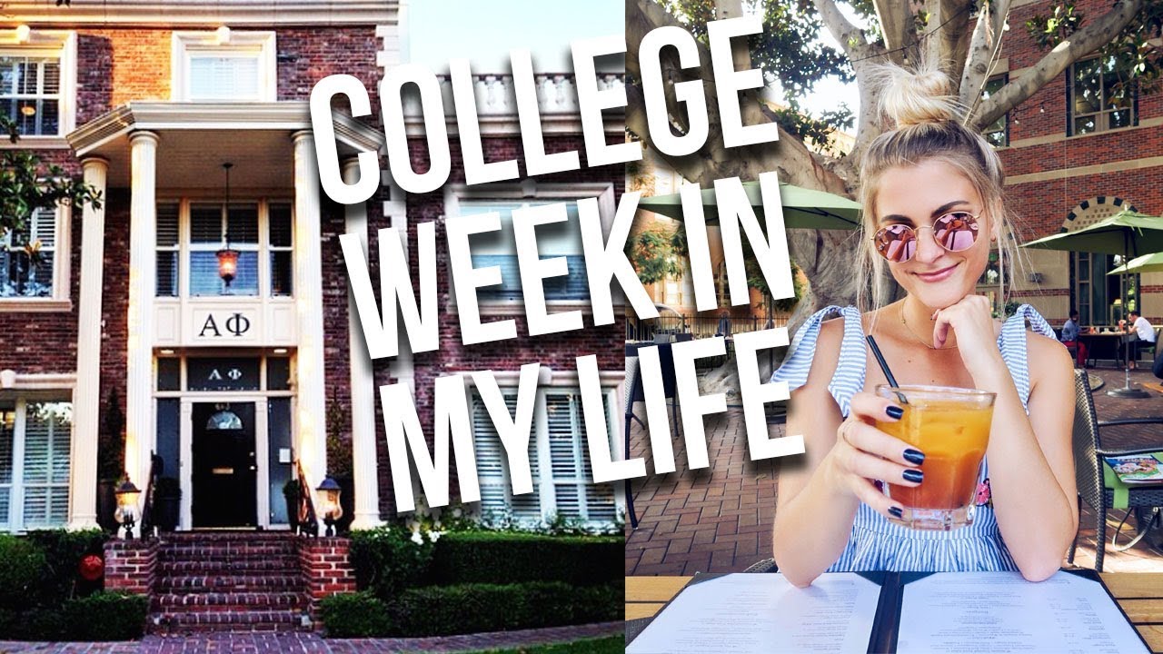 college week in my life | Tasha Farsaci