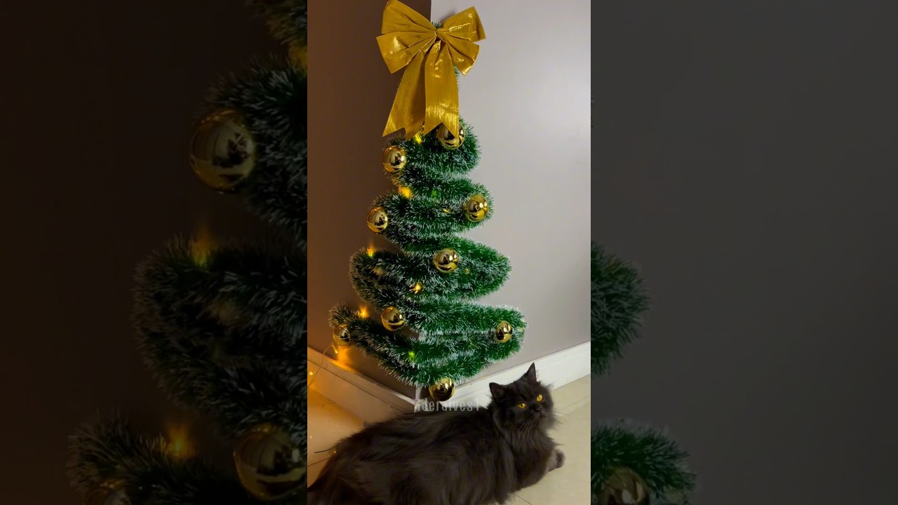 Como Fazer &Aacute;rvore de Natal de Parede F&aacute;cil! #merrychristmas #diy #2024 #comofazer #manualidades #cat