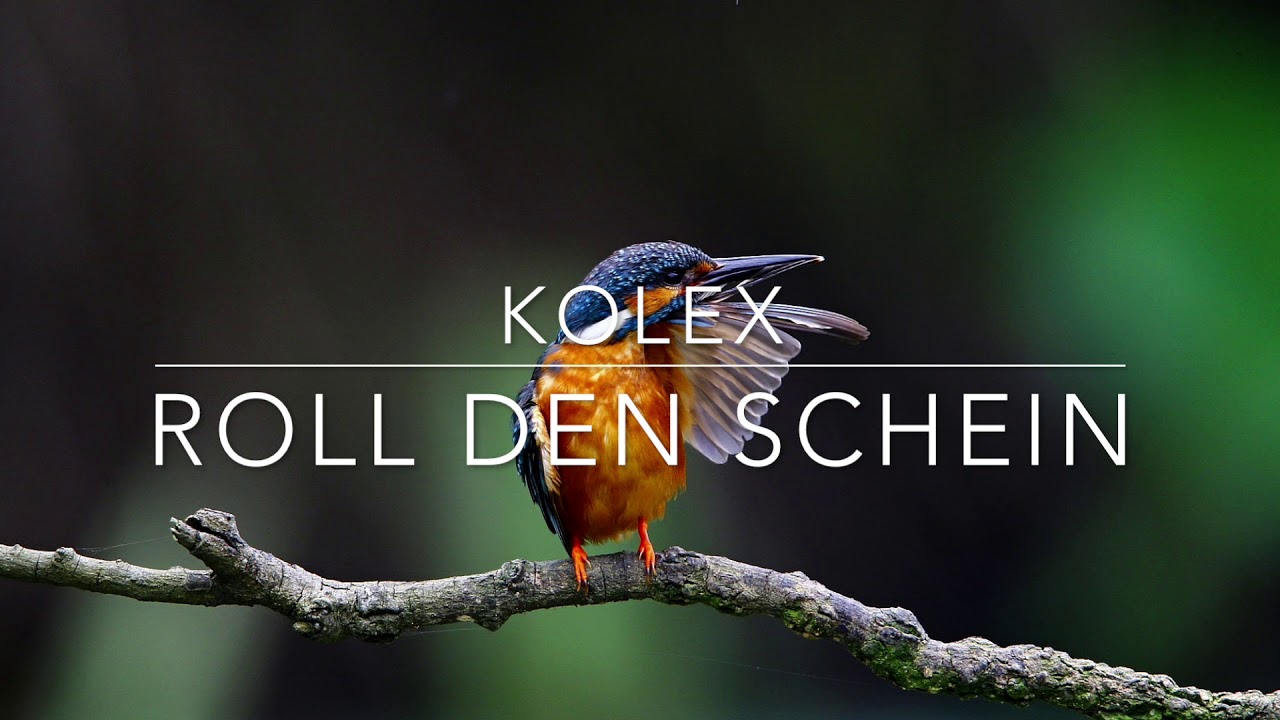 kolex - Roll den Schein (prod. Chucki Beats)