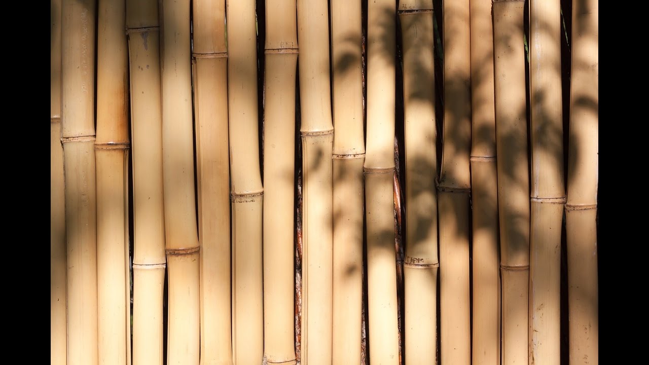 Research Showcase: Dr Thomas Reynolds - Lightweight buildings from plant based materials