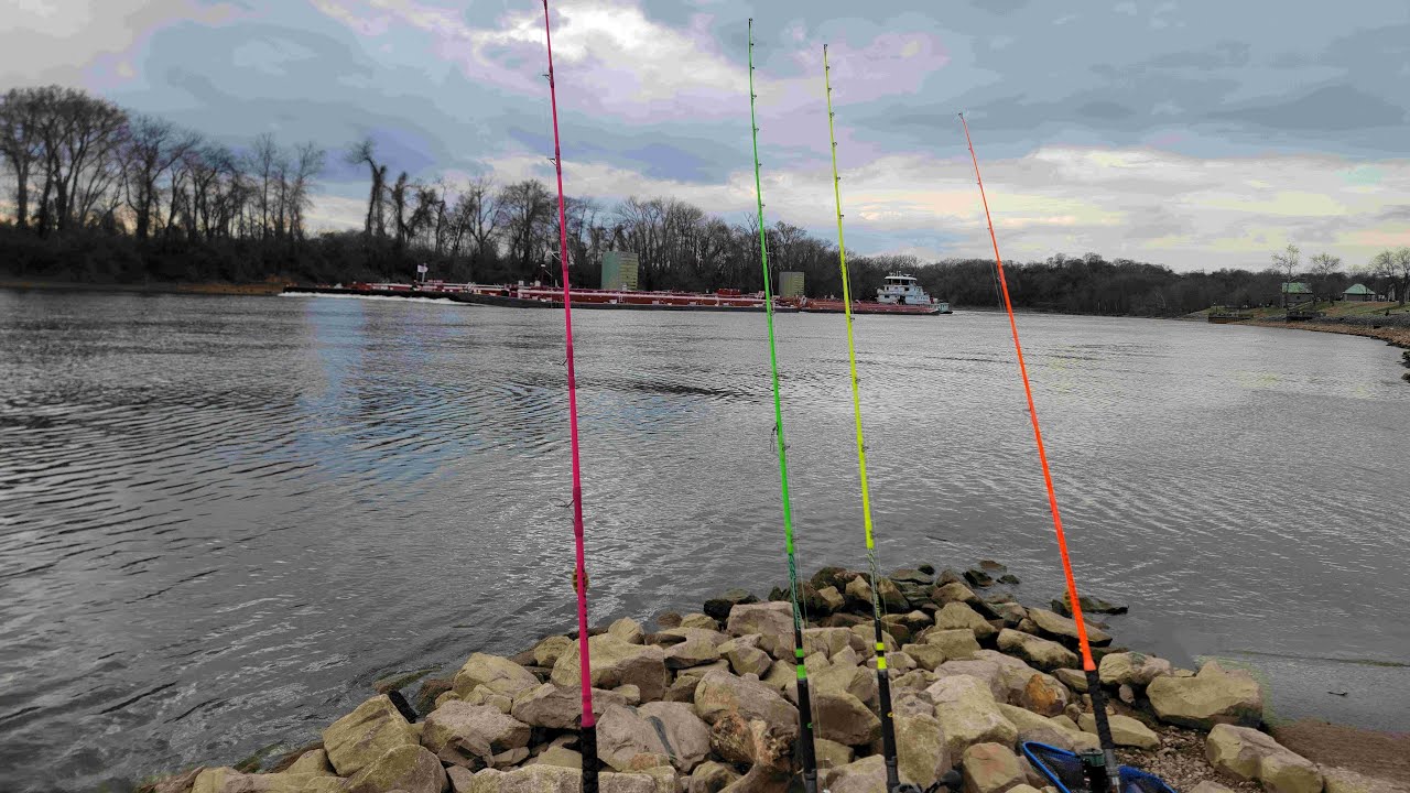 Cat and carp fishing