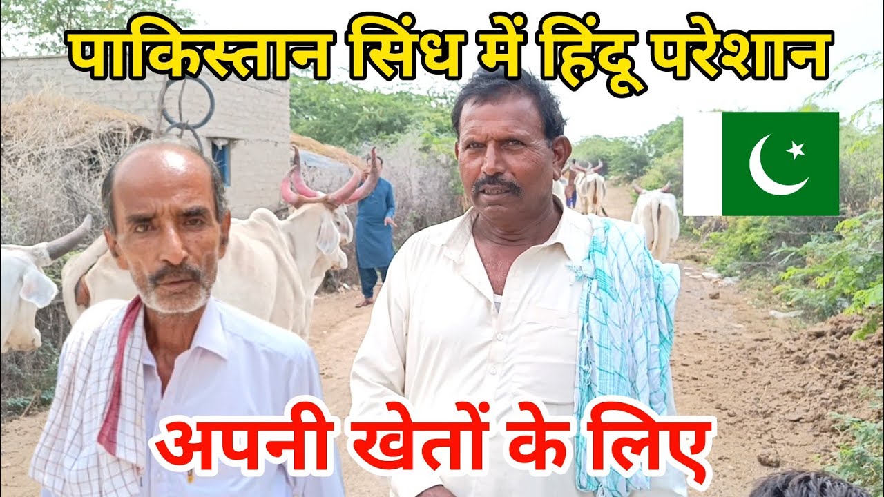 Pakistani Hindu Sindh Main Kis Halat Main Hain | Hindu Rathor in Pakistan | Haresh Rathor Vlogs 