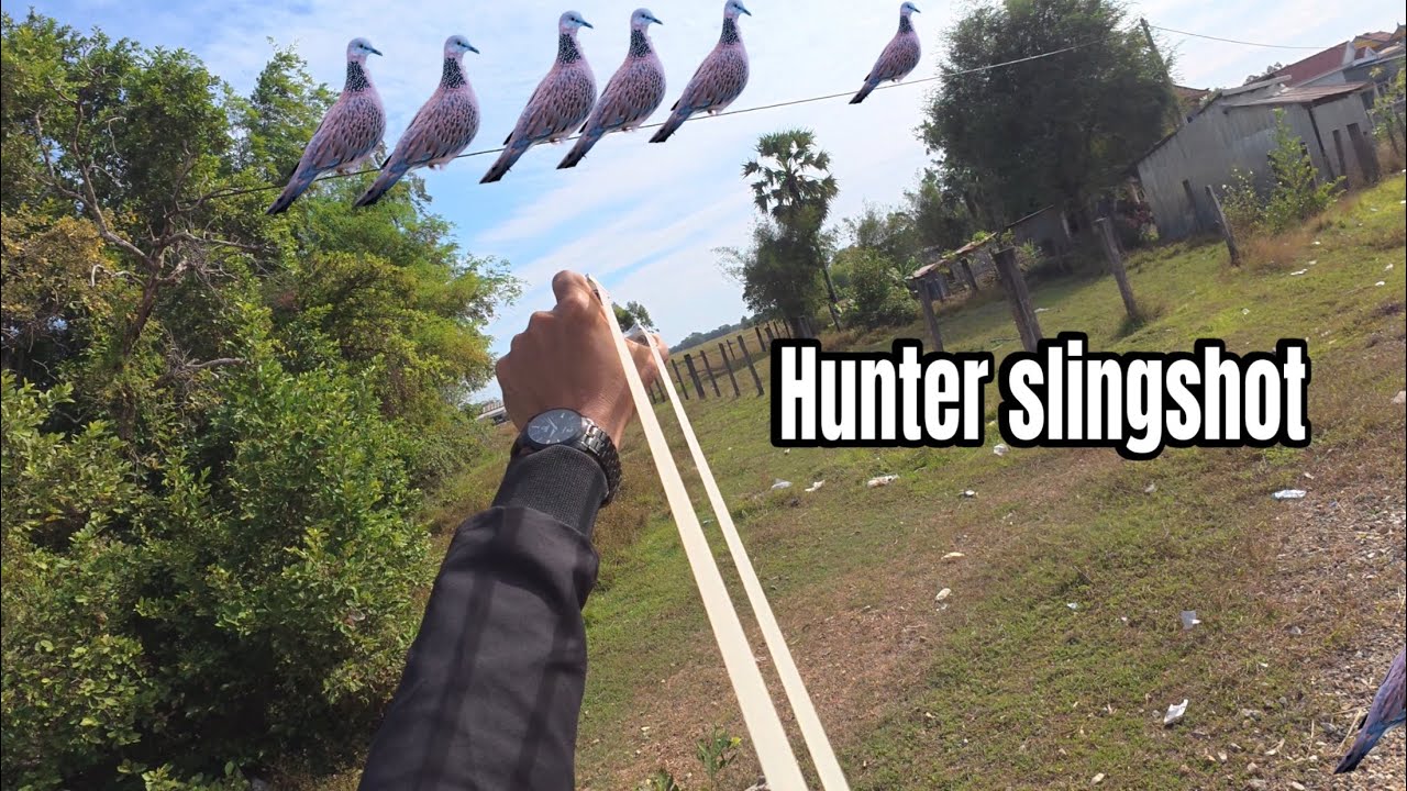 A trip to find food using a slingshot.តោះចេញរកកុកលលកមេៗ