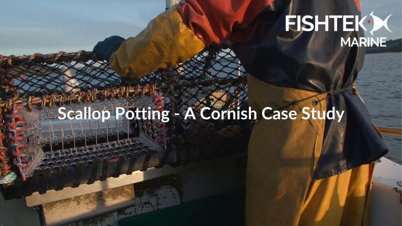 Scallop Potting: A Cornish Case Study