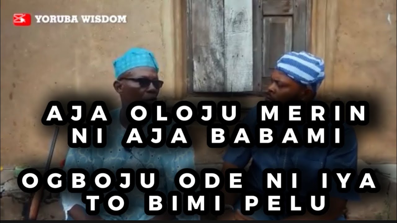 IRIRI AWON OLODE NINU IGBO AGINJU, AJA OLOJU MERIN, INA NJO LOJU OFURUFU ATI OPOLOPO ISELE KAYEEFI
