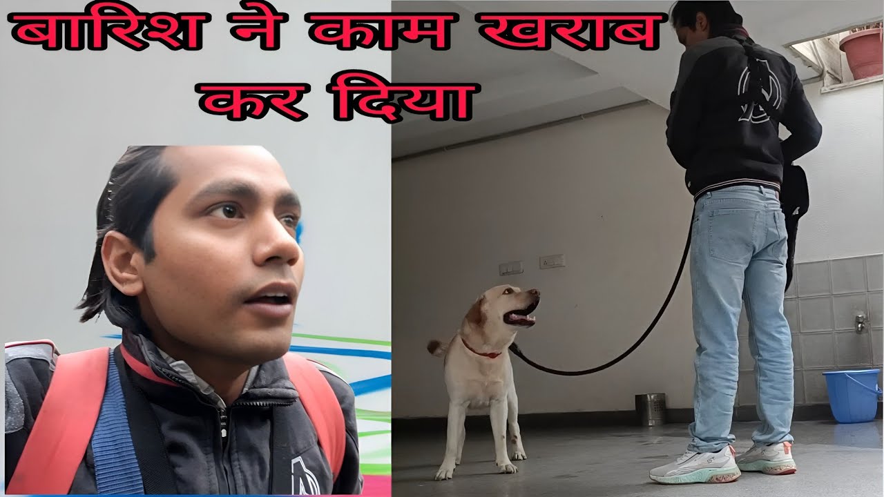 बारिश ने किया काम खराब 😞 #viral #pets