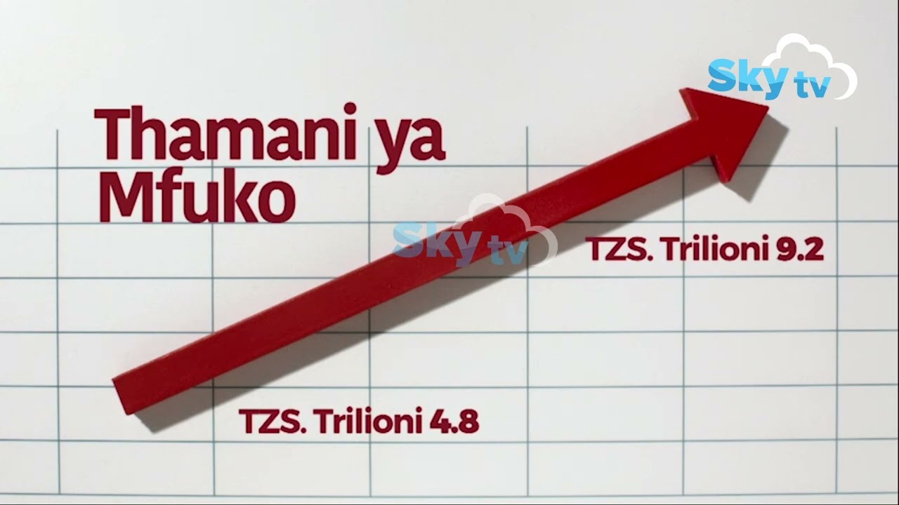 THAMANI YA MFUKO WA NSSF YAONGEZEKA ASILIMIA 92%