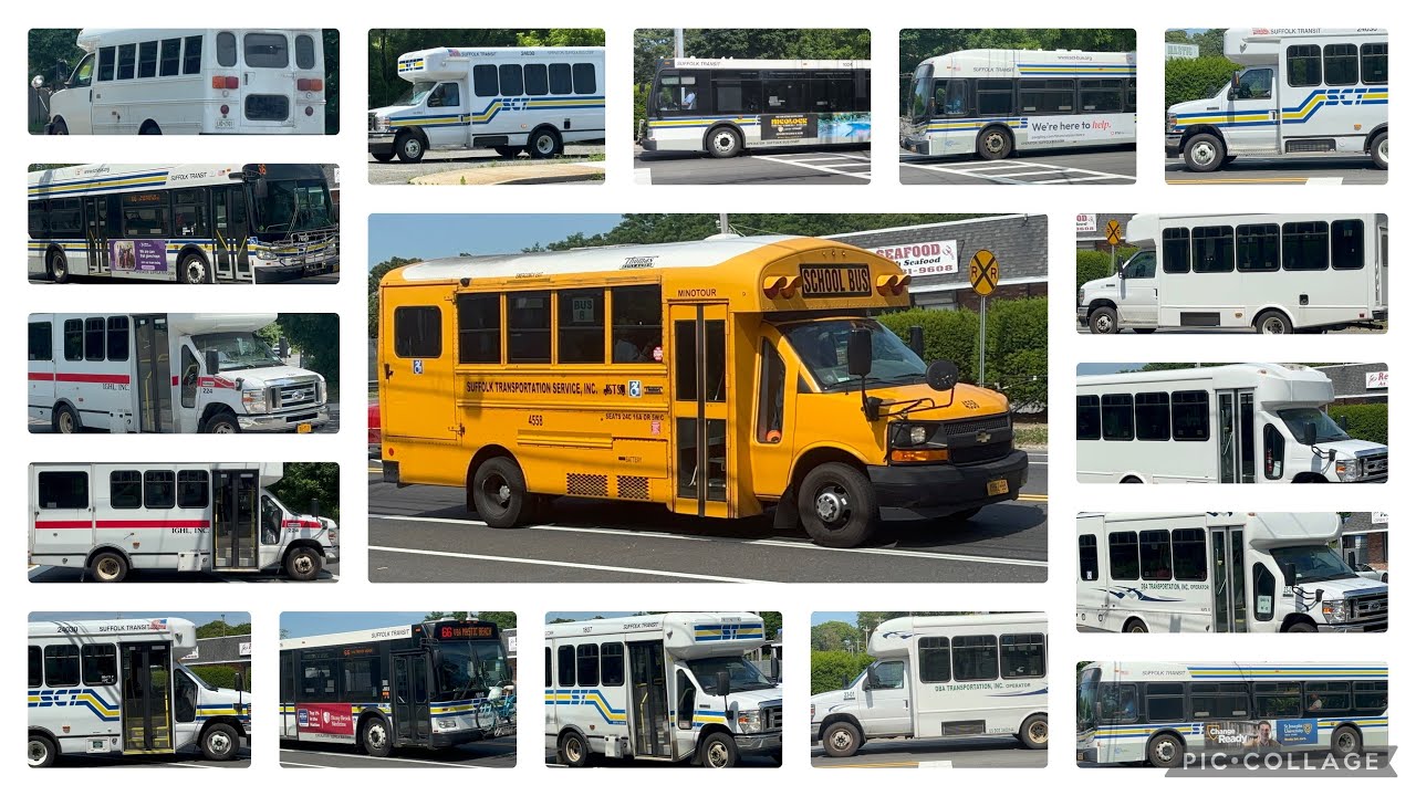 Wednesday Bus Spotting on Juneteenth featuring Suffolk Transportation Service 4558