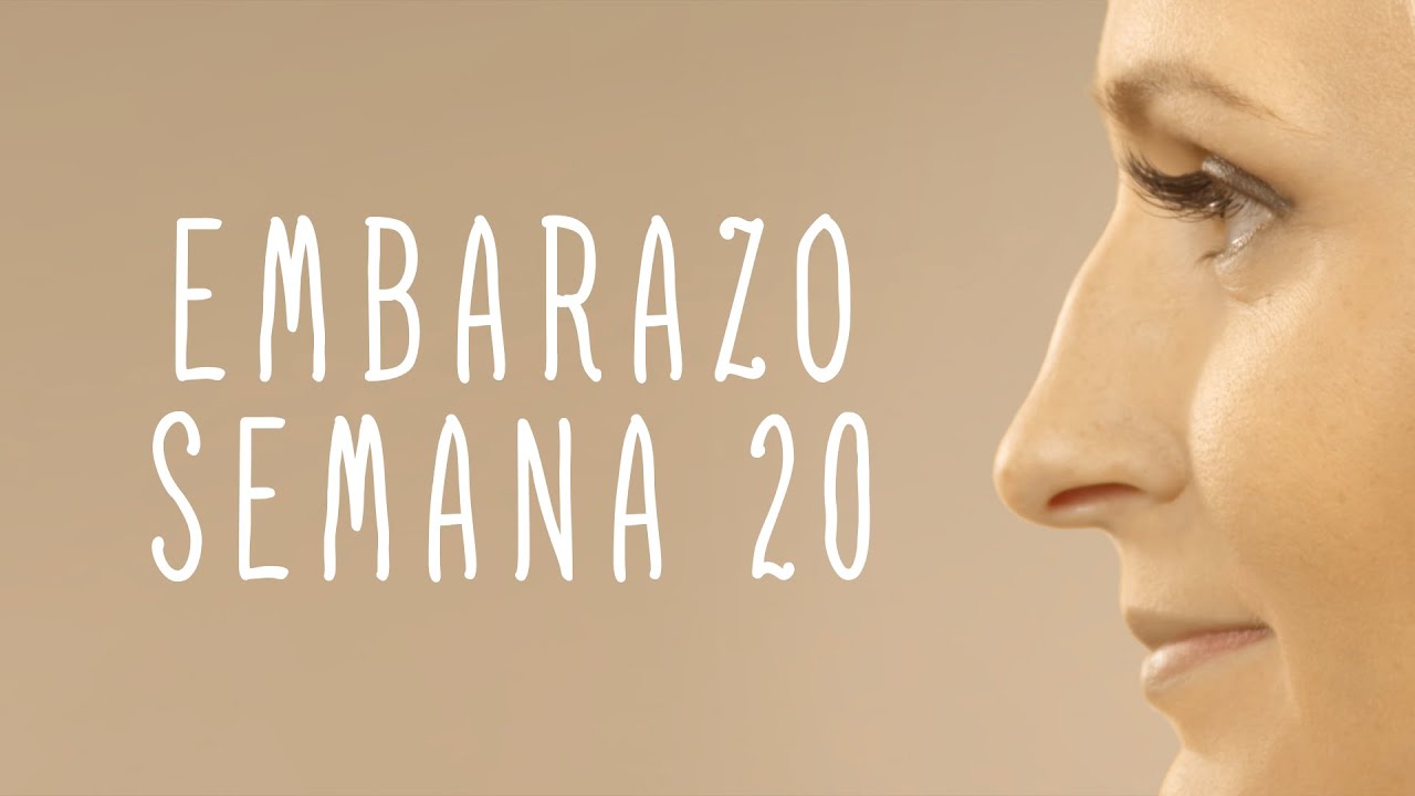 Calendario De Embarazo - Semana 20