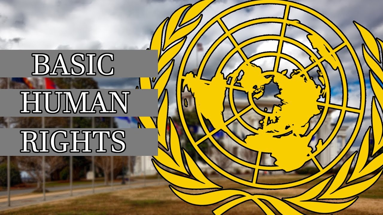 All Basic Human Rights Explained