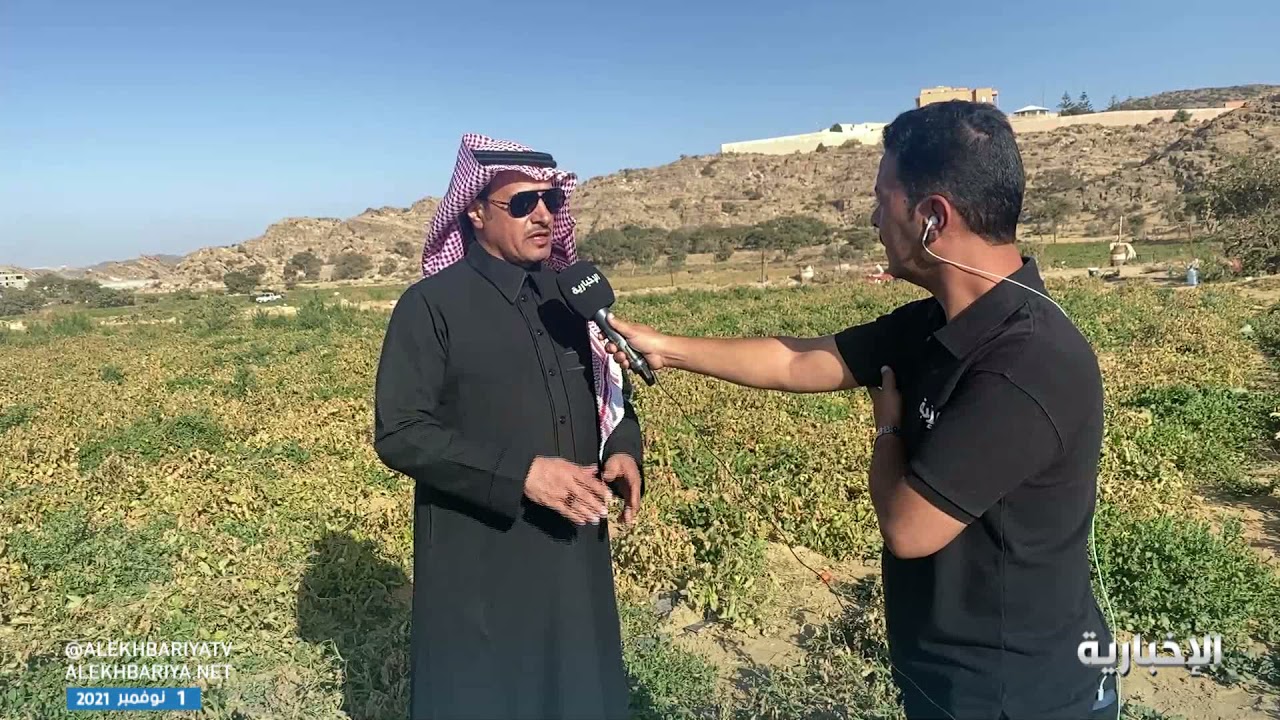 أهالي تنومة يعانون من العمالة المخالفة التي تصدر المنتجات الزراعية من مزارع النماص وتبيعها بالأسواق