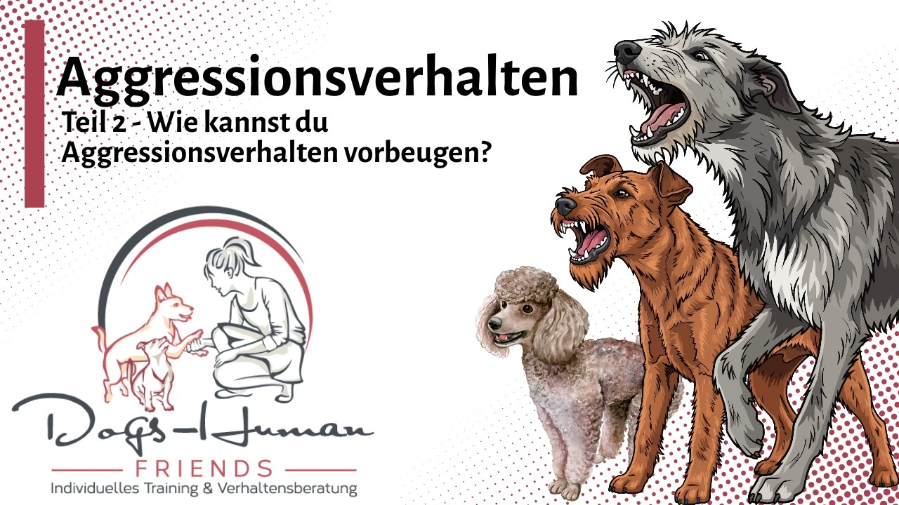 Aggressionsverhalten Teil 2