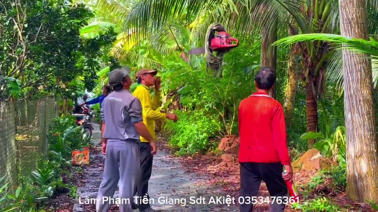 Tổng hợp nhóm A  kiệt leo Cưa những cây trong ngày có nhiều độ khó nguy hiểm Cao
