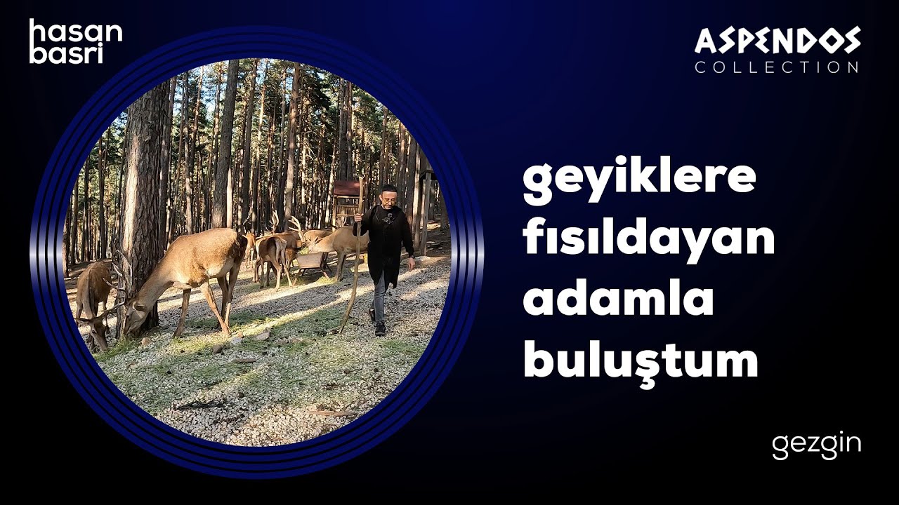 Çatacık Kızıl Geyikleri Beni Başka Bir Aleme Götürdü  | Gezgin