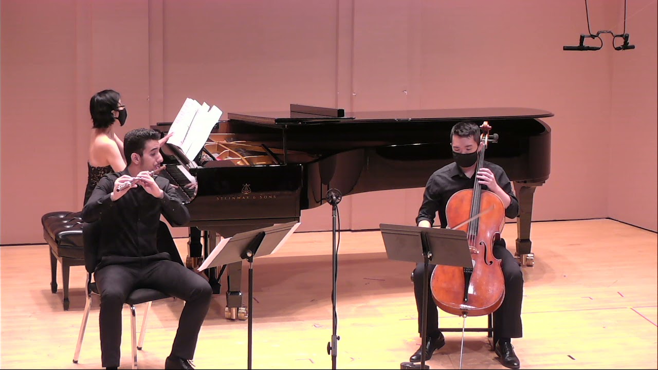 Rachmaninoff - Trio élégiaque No. 2, I. Moderato (arr. for flute, cello and piano)