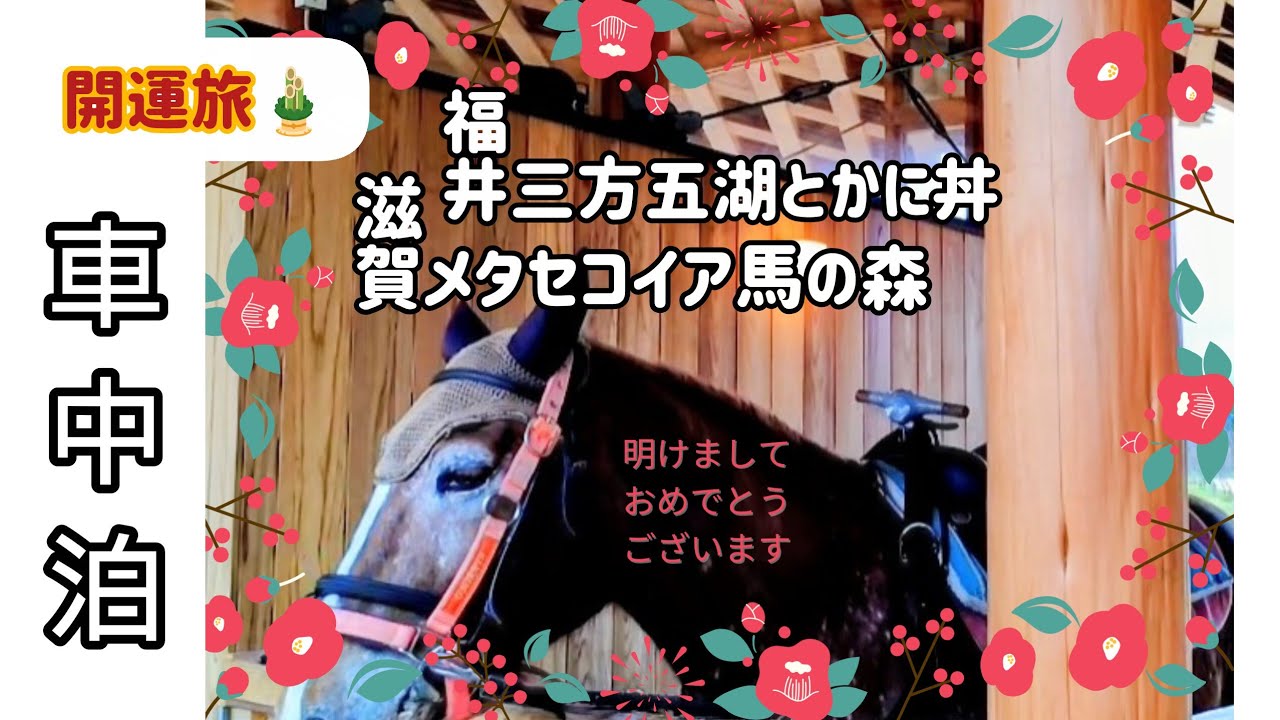 開運【車中泊旅】福井で絶景とかに丼と滋賀で馬