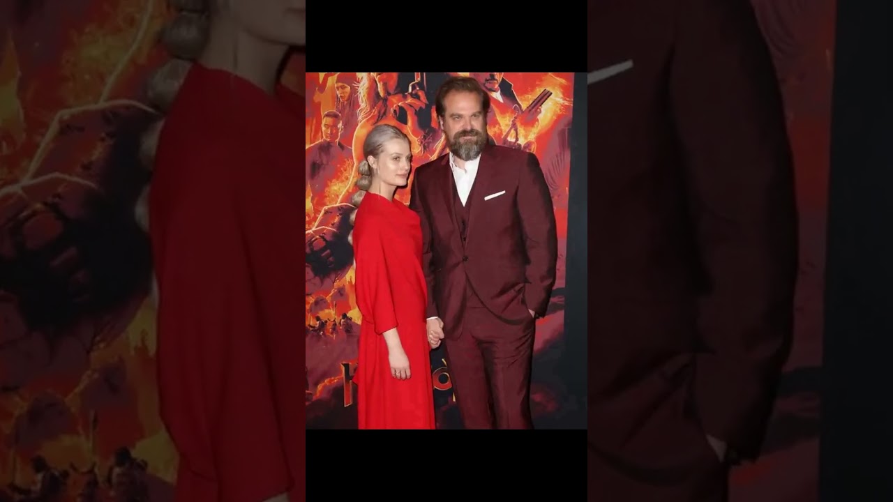 Lily Allen Gets Support From David Harbour’s Ex Amid Cheating Scandal 🔥💔