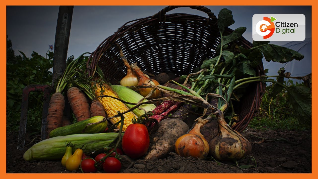 Kenyan making a name in agribusiness in Rwanda