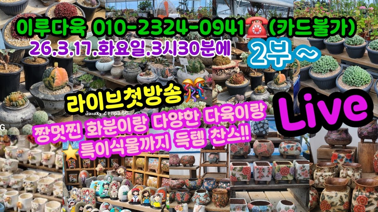 #다육이쇼핑#이루다육010-2324-0941.(26.3.1) 예쁜 다육이 착하게 득템!! ❤️  예쁘게 건강하게 함께 키워요 🌸🤗~