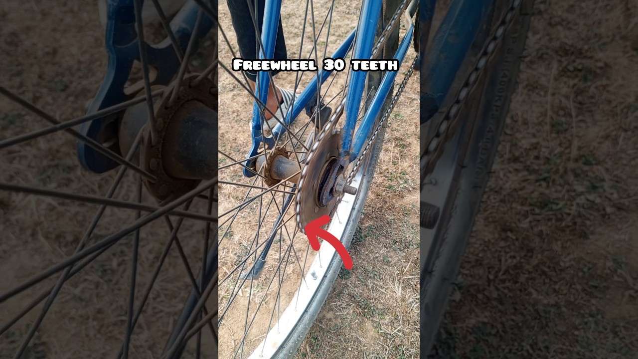 How to do wheelie easy step,,#wheelie #shorts #viralvideo #stunt #freewheel #stuntcycle #freestyle