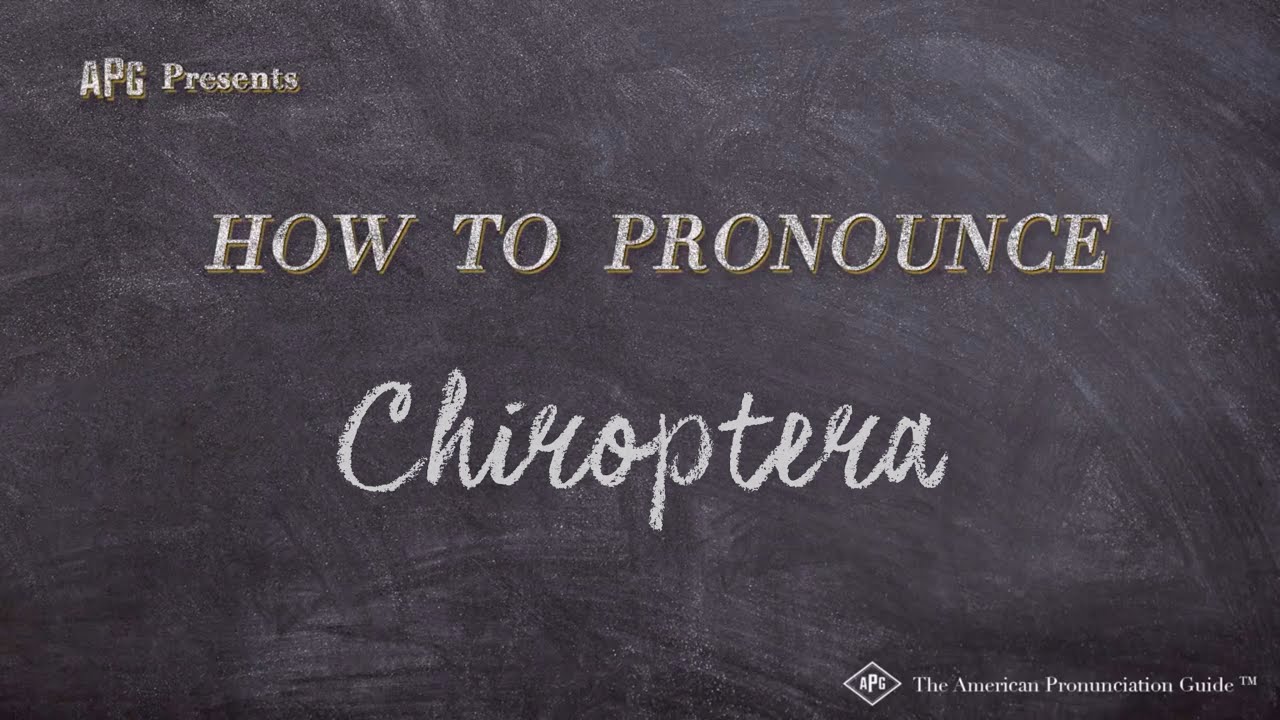 How to Pronounce Chiroptera (Real Life Examples!)