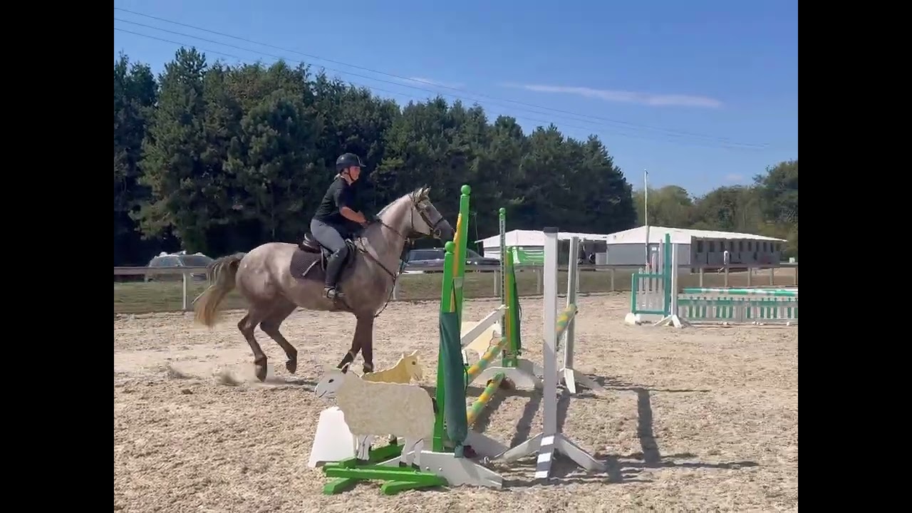 Foxy training 