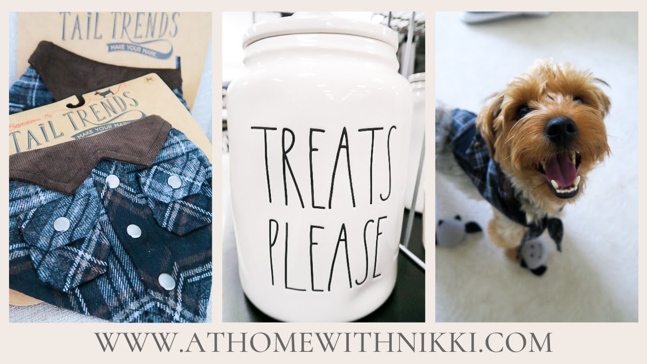 BUDGET PET SHOPPING HAUL $15.00 CHALLENGE