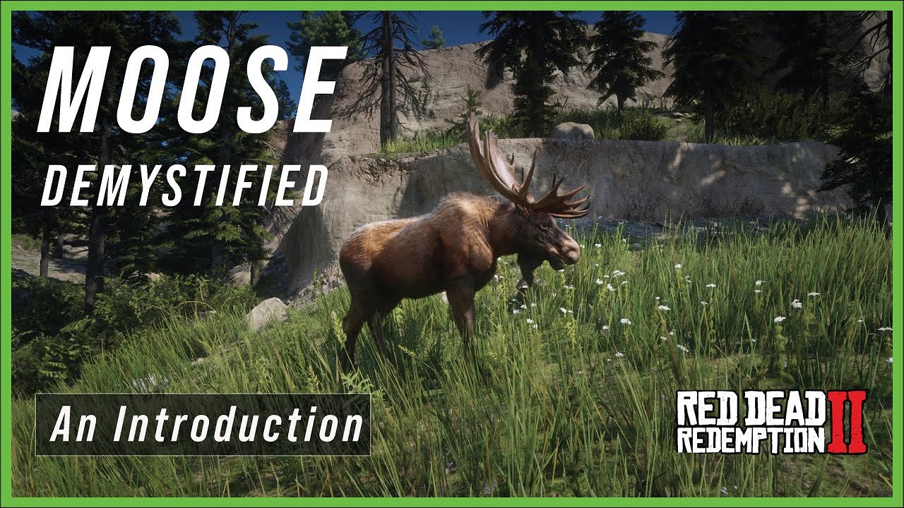 Moose Demystified! An Introduction to Spawning and Hunting Moose, the Easy Way!