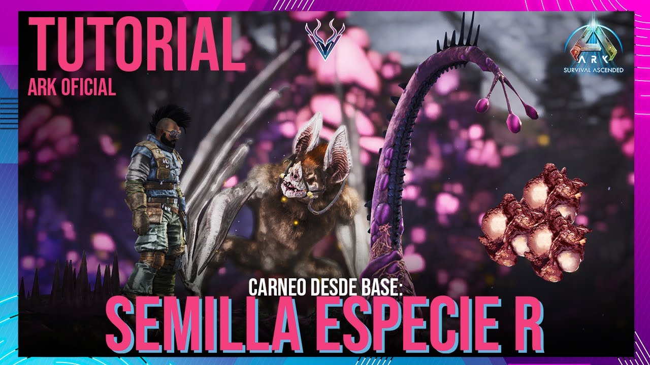 COMO FARMEAR LA SEMILLA ESPECIE R, CARNEO FÁCIL Y EFICIENTE CON HUERTO TEK DESDE BASE #Vattghornn