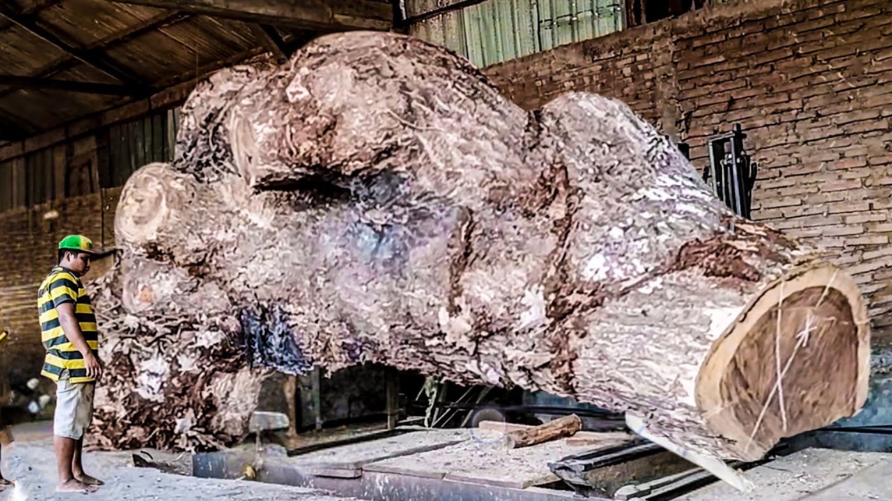 Wood Splitting becomes Art at a Sydney Sawmill