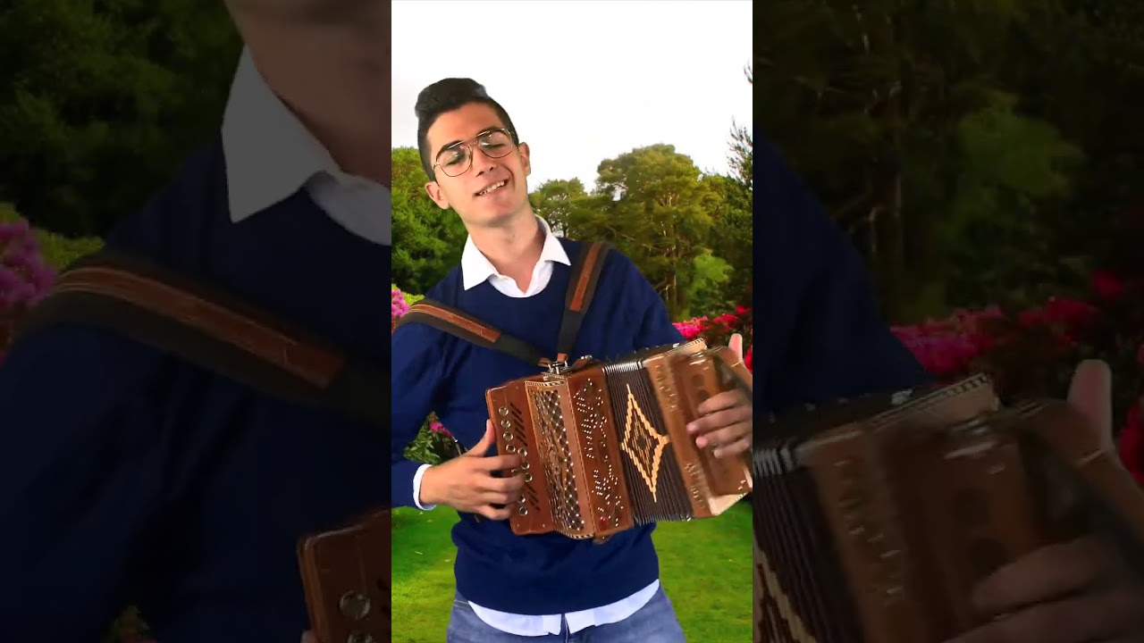 Rotol&igrave; Rotol&agrave; - Polka per Organetto eseguita da Angelo Lucarelli #shorts  #dubbotte #accordion