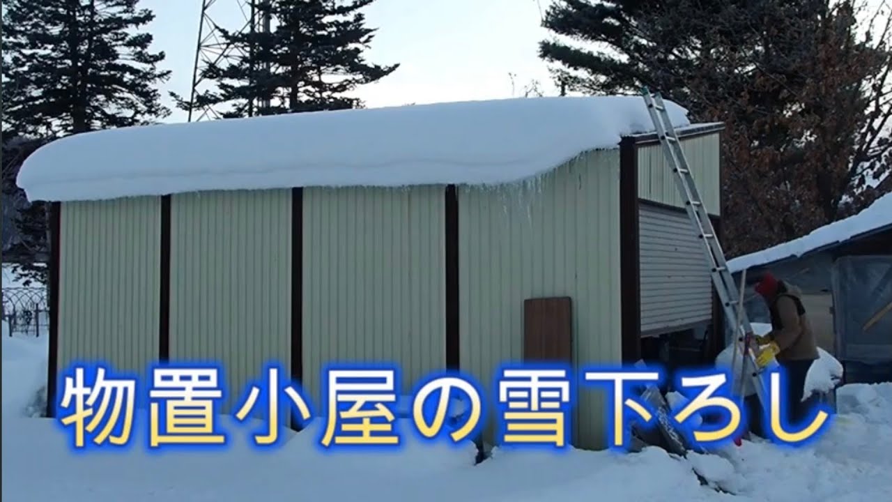Removing snow from a storage shed🥶　物置小屋の雪下ろし