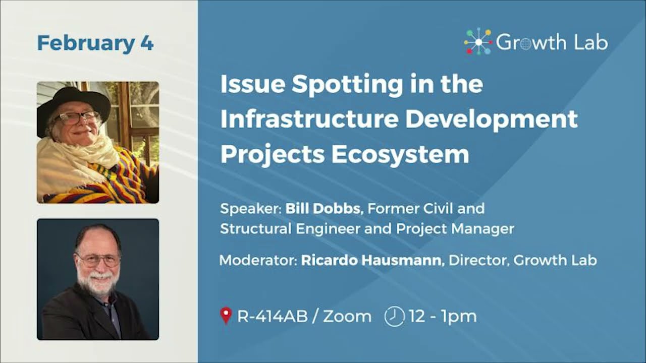 Getting Things Done: Issue Spotting in the Infrastructure Development Projects Ecosystem